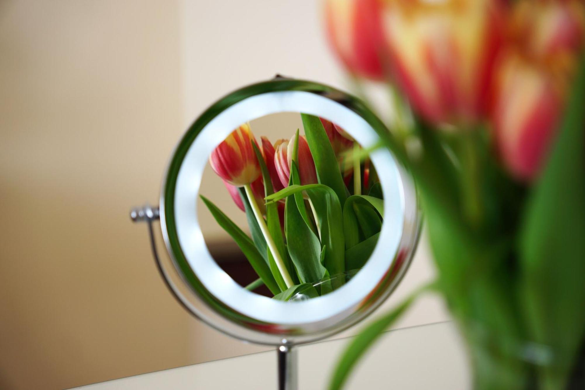 Apartment Ana 10 Min. Hoda Od Centra Trogira *